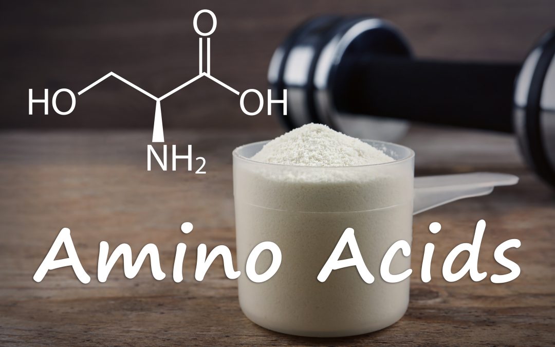 The Role of Amino Acids